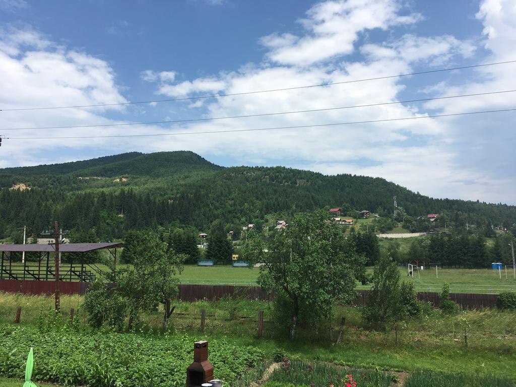 Affittacamere Casa Cu Pitici Vama  Esterno foto