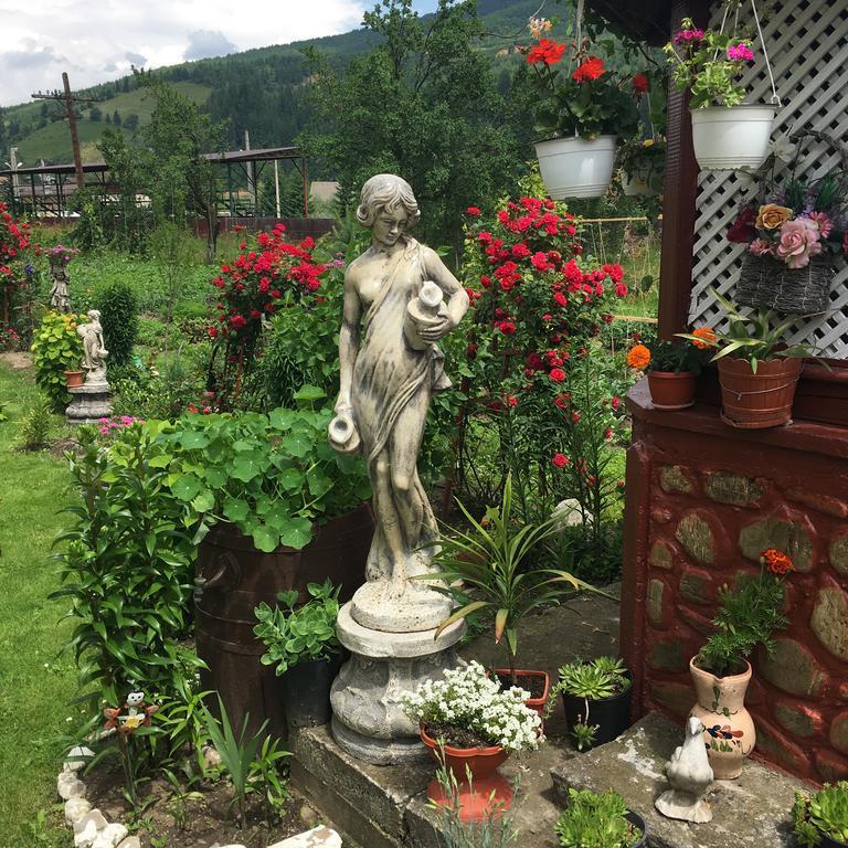 Affittacamere Casa Cu Pitici Vama  Esterno foto