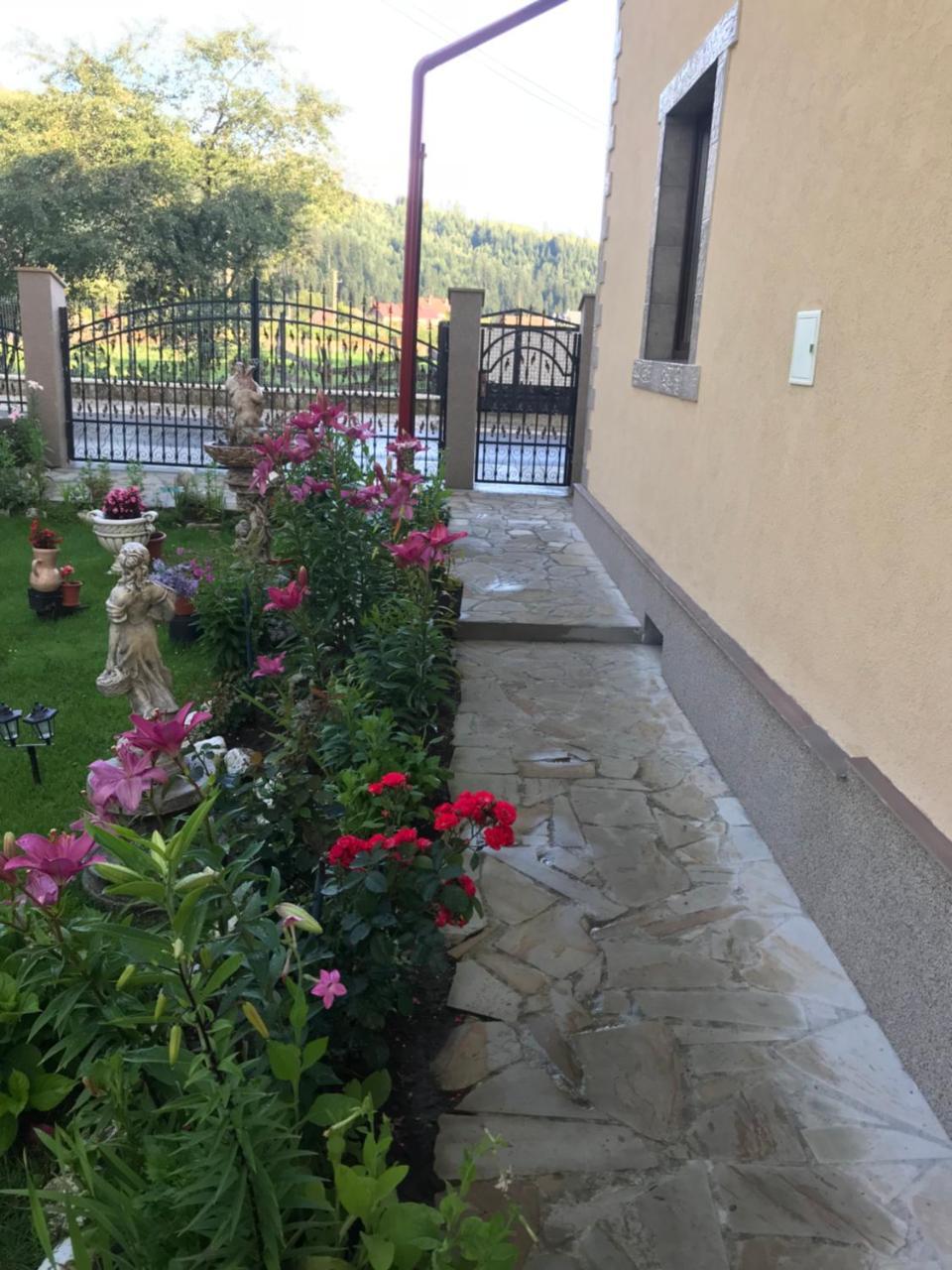 Affittacamere Casa Cu Pitici Vama  Esterno foto