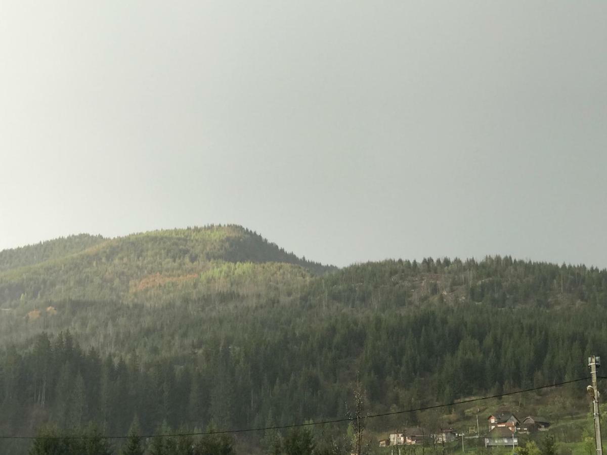 Affittacamere Casa Cu Pitici Vama  Esterno foto